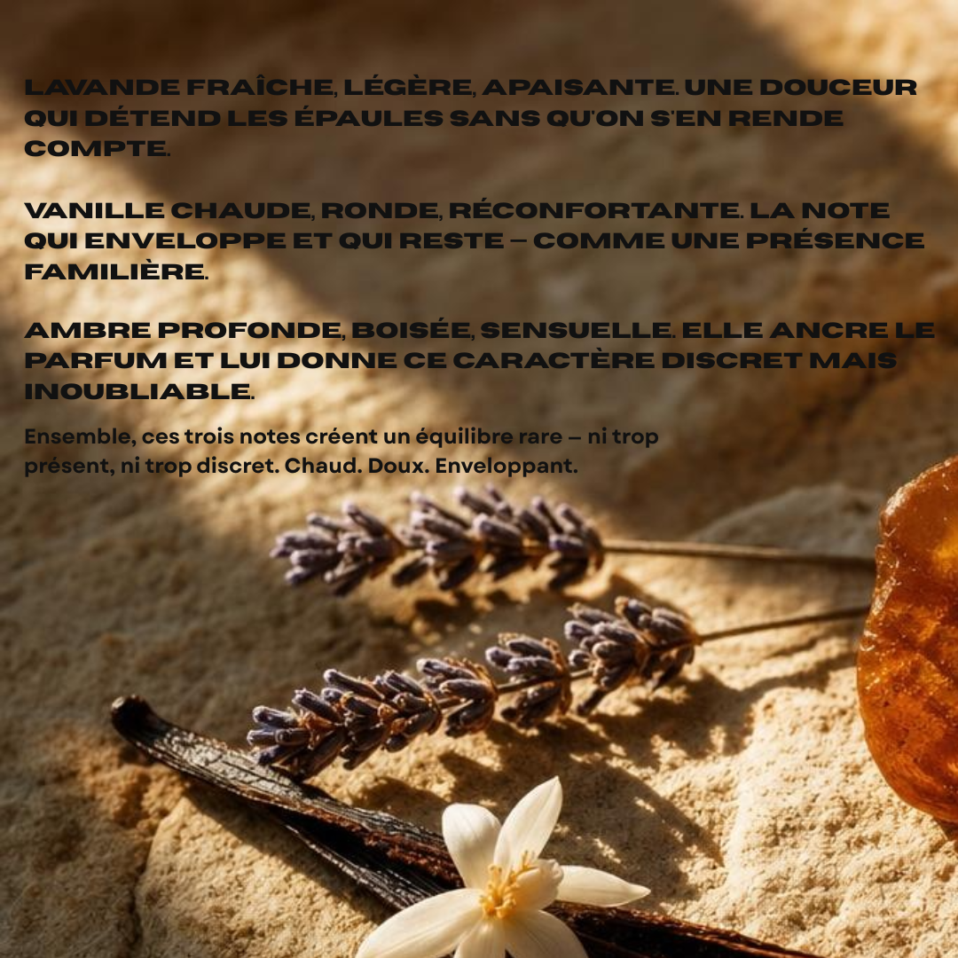 Diffuseur voiture