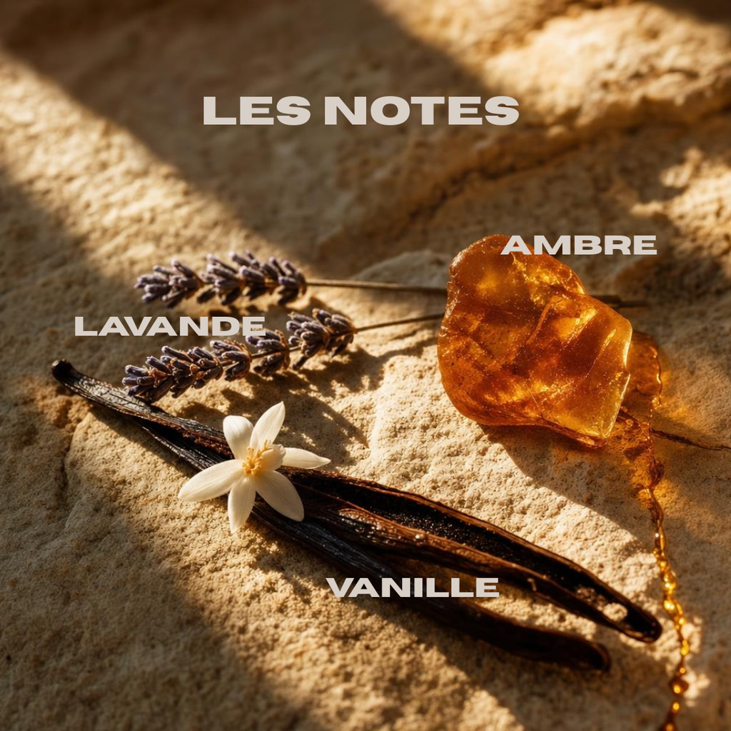 Diffuseur voiture